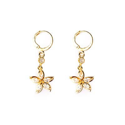 Aretes estrella